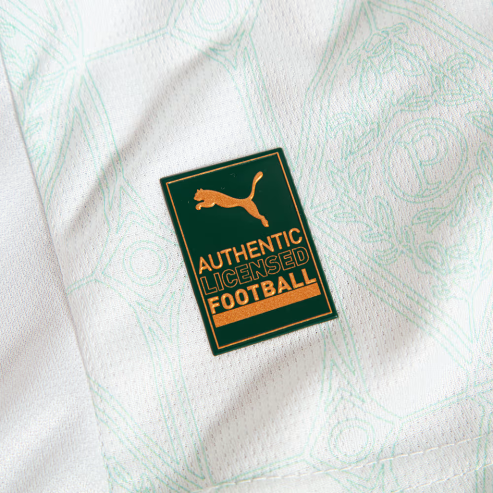 Camisa Puma Palmeiras 2025/26 II Jogador