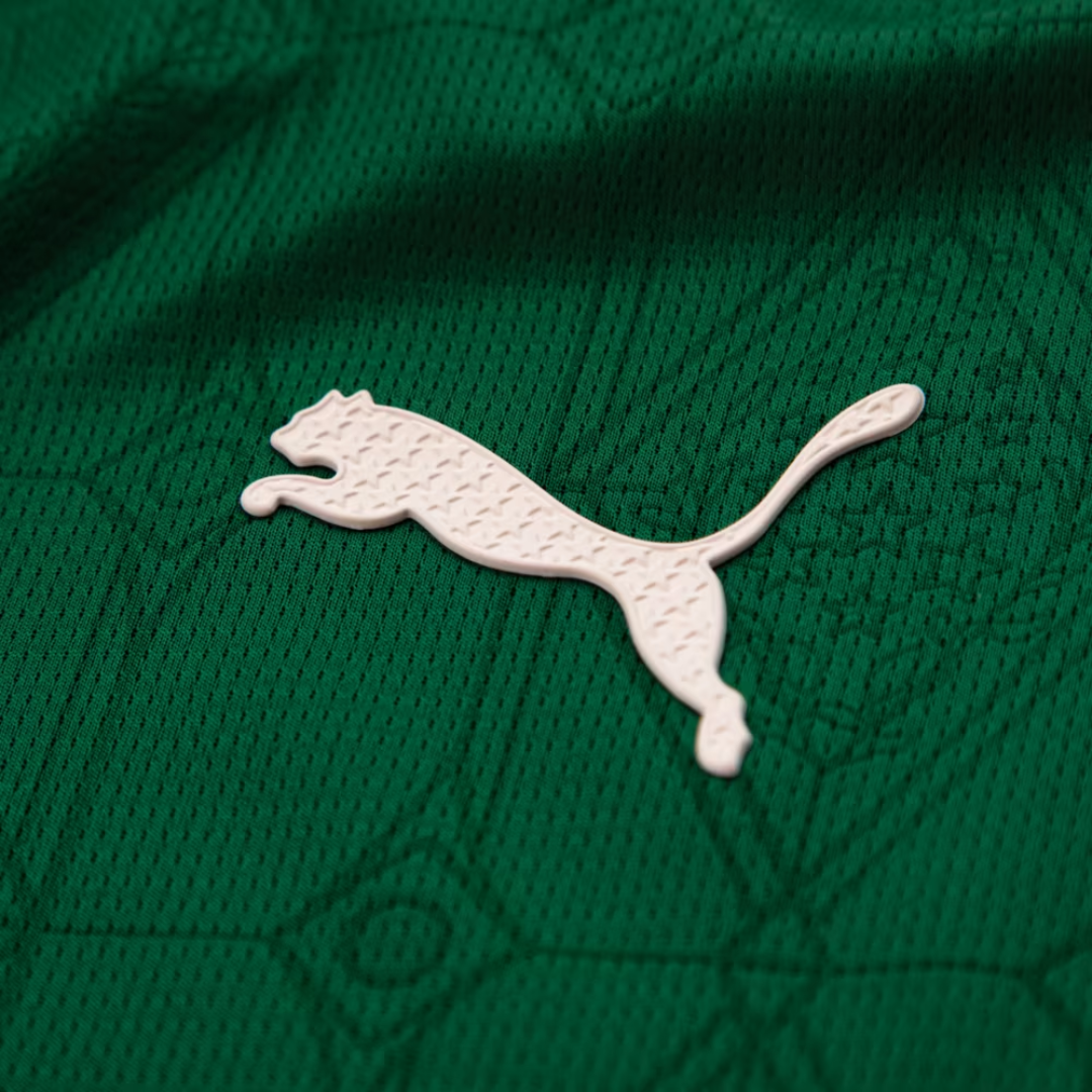 Camisa Palmeiras 2025/26 Home – Jogador